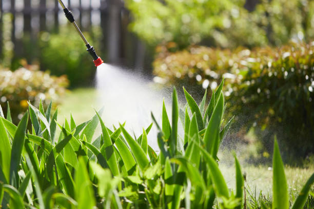 24/7 Emergency Mosquito Control experts in New Hope, MN