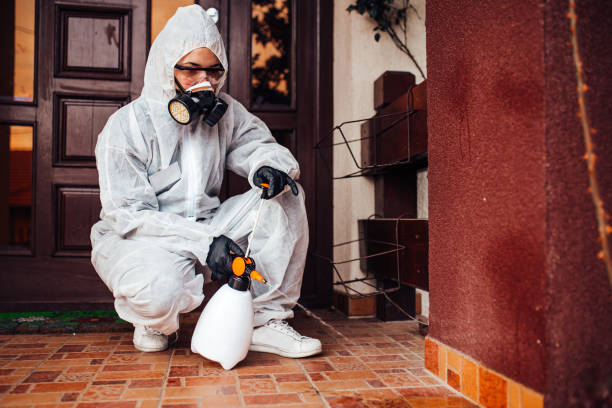 Reliable Mosquito Control contractor in New Hope, MN by Show Me Pest Control