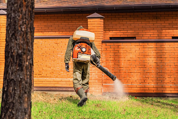 Top rated local Mosquito Control specialists in New Hope, MN